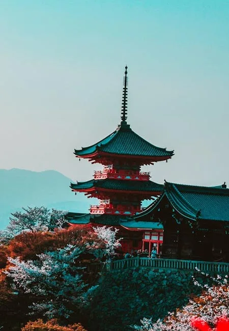 pg模拟器